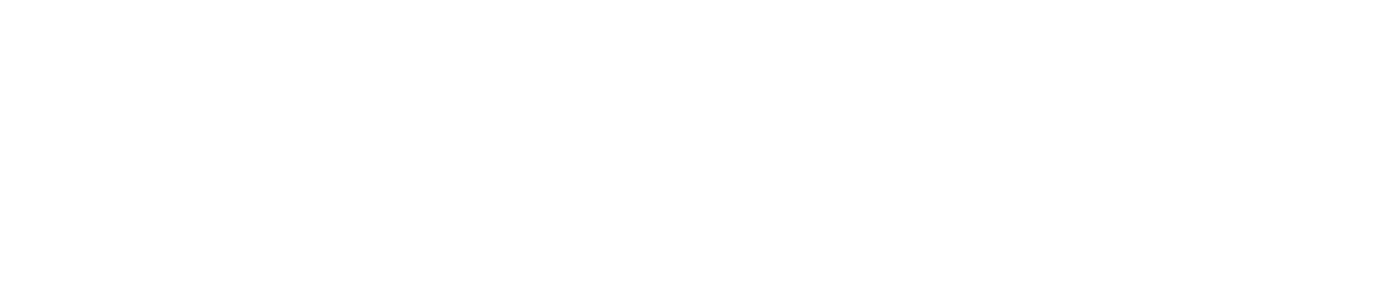 NetSuite Logo White